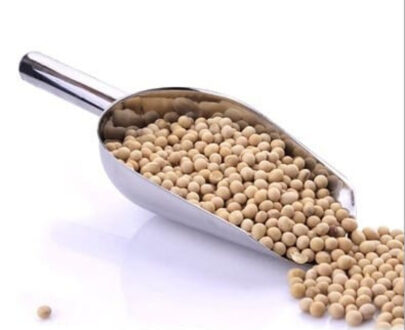 Σέσουλα χρωμίου