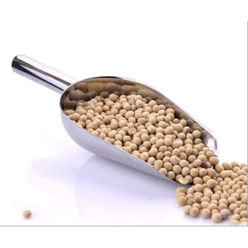 Σέσουλα χρωμίου